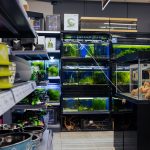 Na zdjęciu widać wnętrze salonu Aquael Zoo, szeroki wybór akwariów i akcesoriów.