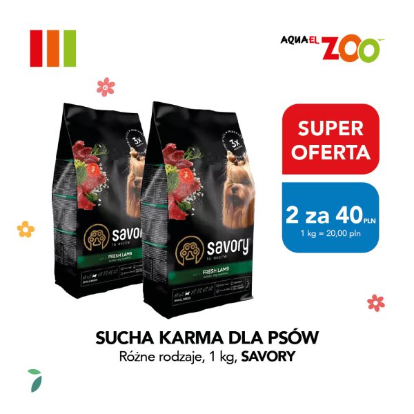 Kadr prezentuje ofertę promocyjną na karmę dla psów „Savory Fresh Lamb”, ozdobioną drobnymi elementami graficznymi w kształcie listków i kwiatów. W dolnej części umieszczono wyraźne napisy „SUCHA KARMA DLA PSÓW Różne rodzaje, 1 kg, SAVORY”, uzupełniające szczegóły cenowe akcji.