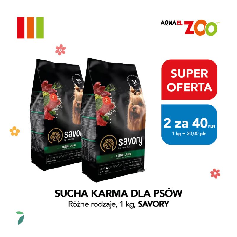 Kadr prezentuje ofertę promocyjną na karmę dla psów „Savory Fresh Lamb”, ozdobioną drobnymi elementami graficznymi w kształcie listków i kwiatów. W dolnej części umieszczono wyraźne napisy „SUCHA KARMA DLA PSÓW Różne rodzaje, 1 kg, SAVORY”, uzupełniające szczegóły cenowe akcji.