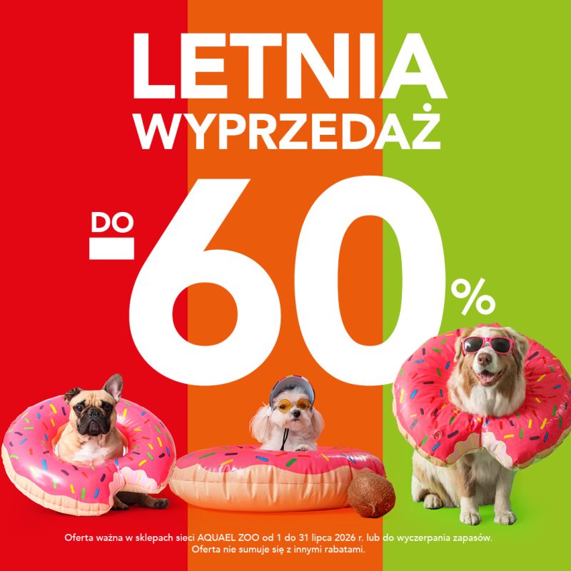 Plakat reklamowy informuje o letniej wyprzedaży do -60% w sklepach sieci AQUAEL ZOO, ważnej od 1 do 31 lipca 2026 roku. Na trójkolorowym tle (czerwonym, pomarańczowym i zielonym) przedstawiono trzy psy w okularach przeciwsłonecznych i dmuchanych kołach plażowych przypominających pączki.