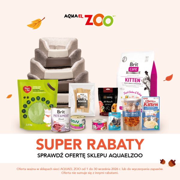 Kwadratowa grafika promocyjna sieci Aquael ZOO na jasnym tle ozdobionym jesiennymi liśćmi i żołędziami. W centralnej części zaprezentowano zestaw artykułów dla zwierząt: wielopoziomowe miękkie legowisko, zielone opakowanie żwirku tofu dla kotów Have a Pet, puszki i opakowania karmy Brit (Kitten oraz Paté & Meat), przysmak skóra konia, przekąski Savory, Oasy, Poésie, Appétit oraz Churu for Kitten. Na dole umieszczono duży czerwono-pomarańczowy napis SUPER RABATY SPRAWDŹ OFERTĘ SKLEPU AQUAELZOO oraz logo AQUAEL ZOO.